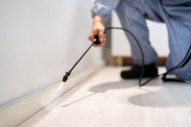 Licensed Fumigation Services service in Davie County County, NC - Nex Pest Control