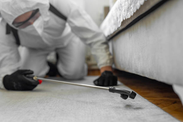 Professional Fumigation Services technician working in Davie County County, NC